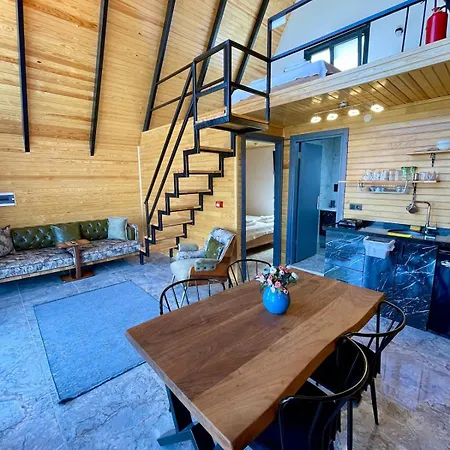 Sakarya Kurtkoey Dibektas Da 2 1 Salon Oezel Havuz -goel Manzarali - 5 Kisilik Bungalov-bng-116 Holiday home