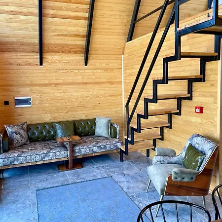 Sakarya Kurtkoey Dibektas Da 2 1 Salon Oezel Havuz -goel Manzarali - 5 Kisilik Bungalov-bng-116 Holiday home